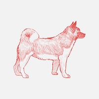 Illustration drawing style of dog