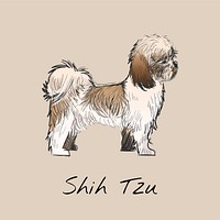 Illustration drawing style of dog