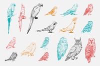 Illustration drawing style of parrot birds collection