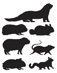 Illustration drawing style of rat collection