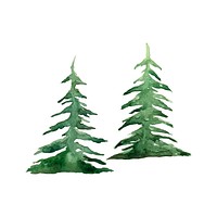 Pine trees painted by watercolor vector