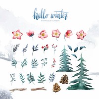 Hello Winter plants and flowers painted by watercolor vector