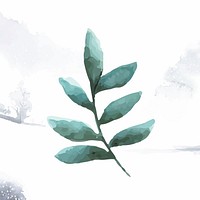 Smilax branch watercolor style vector