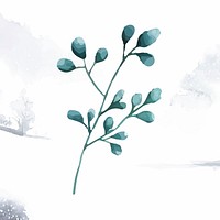 Silver dollar eucalyptus leaves painted in watercolor vector