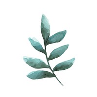 Smilax branch watercolor style vector