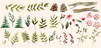 Watercolor set of winter flowers and leaves vector