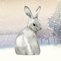 Wild gray rabbit in a winter wonderland painted by watercolor vector