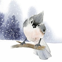 Tufted titmouse bird in wintertime watercolor vector