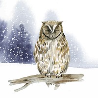 Owl in wintertime watercolor style vector