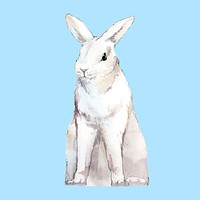 Wild white rabbit painted by watercolor vector