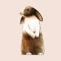 Wild brown rabbit painted by watercolor vector