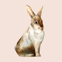 Wild brown rabbit painted by watercolor vector