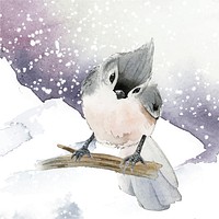 Tufted titmouse bird in wintertime watercolor vector