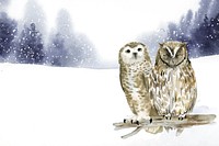 Pair of owls in a winter wonderland watercolor style vector