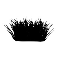 Dwarf hair grass silhouette on white background