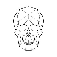 Linear illustration of a skull