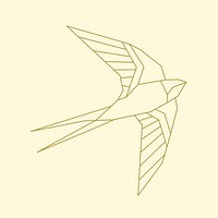 Linear illustration of a flying bird