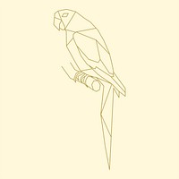 Linear illustration of a flying bird