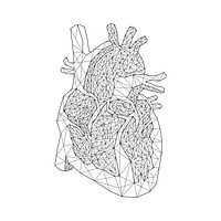Linear illustration of a heart