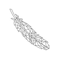 Linear illustration of a feather