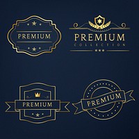 Set of premium badges vector