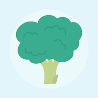 Illustration of fresh broccoli isolated