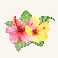 Hand drawn flower vector isolated