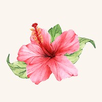 Hand drawn flower vector isolated