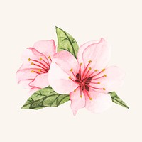 Hand drawn flower isolated