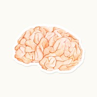 Hand drawn pink brain sticker vector