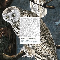 Snowy Owl from Birds of America (1827) adult coloring page by John James Audubon