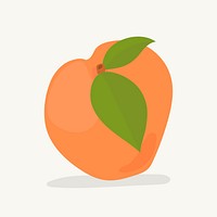 Hand drawn apricot fruit illustration