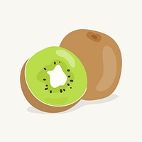 Hand drawn kiwi fruit illustration