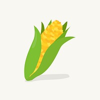 Hand drawn corn fruit illustration