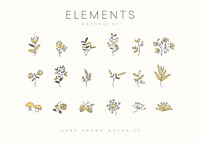 Set of hand drawn botanical elements vector