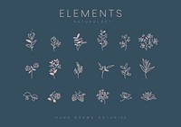 Set of hand drawn botanical elements vector