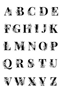 Alphabet floral typography script vector
