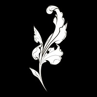 White Baroque floral elements vector