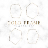 Golden blank hexagon frame vector set