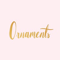 Ornaments text typography style vector