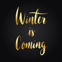 Winter is coming typography style vector