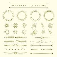 Ornaments collection vector design concept