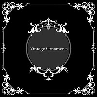 Vintage flourish ornament frame vector