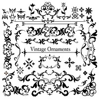 Vintage flourish ornament frame vector