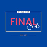 Final sale special offer sign vector