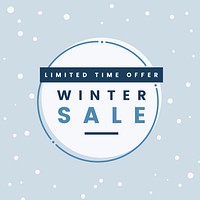 Limited time offer winter sale vector