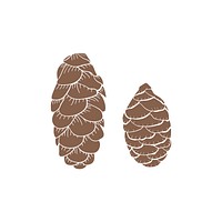 Illustration of a fir cone