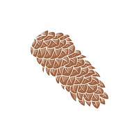 Fir tree cones vector