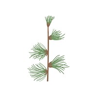 Leaves on a branch vector
