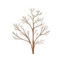 Tree branches without leaves vector